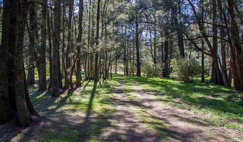 Wombeyan Waterfall Walking Track - Restaurant Gold Coast 0