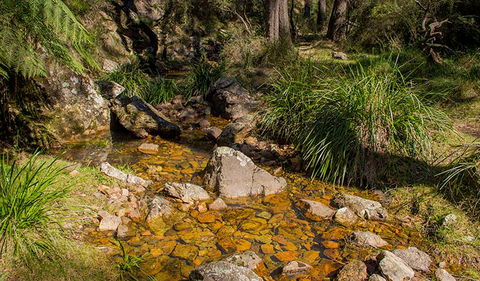 Wombeyan Waterfall Walking Track - Restaurant Gold Coast 1