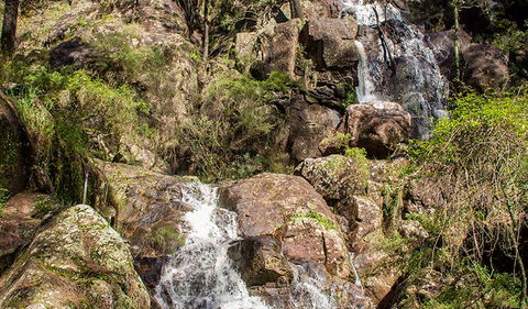 Wombeyan Waterfall Walking Track - Restaurant Gold Coast 3