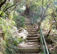 Nature track - Restaurant Gold Coast
