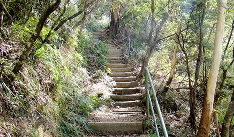 Nature Track - Restaurant Gold Coast 0
