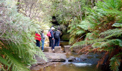 Nature Track - Restaurant Gold Coast 1
