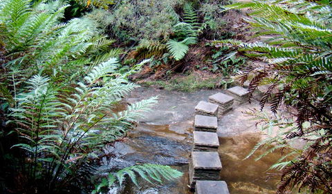 Nature Track - Restaurant Gold Coast 3