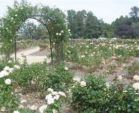 Victoria Park Rose Garden - Restaurant Gold Coast 0