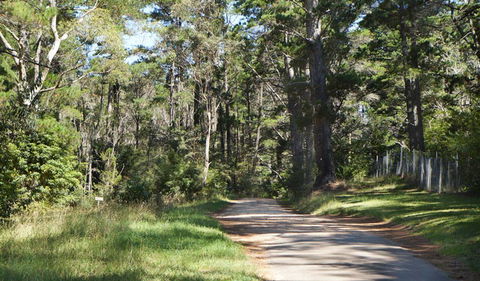 McMahon's Point Ride - Wentworth Falls - Restaurant Gold Coast 2