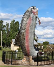 Big Trout - Restaurant Gold Coast 0
