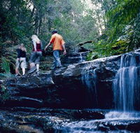 South Lawson Waterfall Circuit - Restaurant Gold Coast