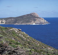 Bald Head Walking Track - Restaurant Gold Coast