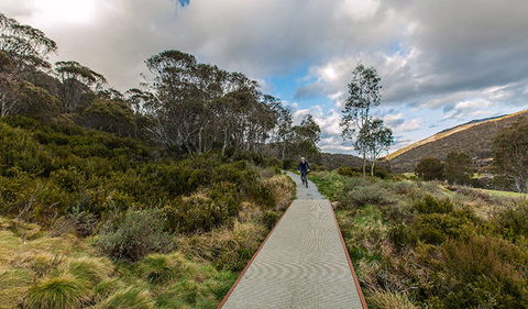 Thredbo Valley Track - Restaurant Gold Coast 0