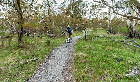 Thredbo Valley Track - Restaurant Gold Coast 1