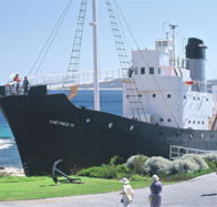 Discovery Bay Tourism Experience - Restaurant Gold Coast