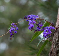 Mann River Nature Reserve - Restaurant Gold Coast