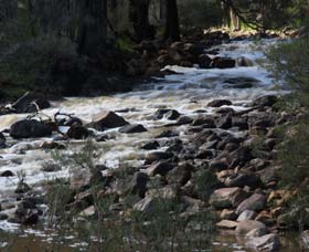 Syd's Rapids And Aboriginal Heritage Trail, Avon Valley - Restaurant Gold Coast 1