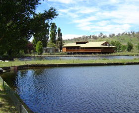 Gaden Trout Hatchery - Restaurant Gold Coast 0
