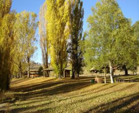 Gaden Trout Hatchery - Restaurant Gold Coast 1