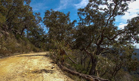 Parr State Conservation Area - Restaurant Gold Coast 0