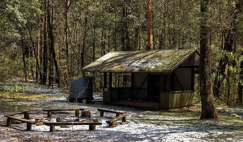 Parr State Conservation Area - Restaurant Gold Coast 1