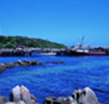 King Island Dairies - Restaurant Gold Coast