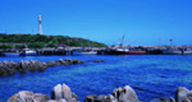 King Island Dairies - Restaurant Gold Coast 0