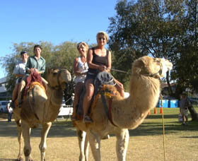 Calamunnda Camel Farm  - Restaurant Gold Coast 0