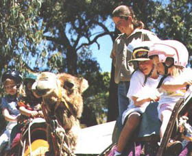 Calamunnda Camel Farm  - Restaurant Gold Coast 2