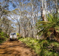 Barrington trail - Restaurant Gold Coast