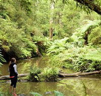 Morwell National Park - Restaurant Gold Coast