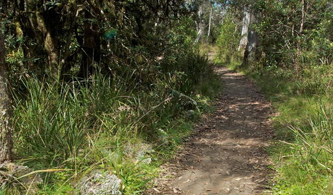 Devils Hole Lookout Walk And Picnic Area - Restaurant Gold Coast 2