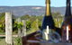 Ugly Duckling Wines - thumb 1