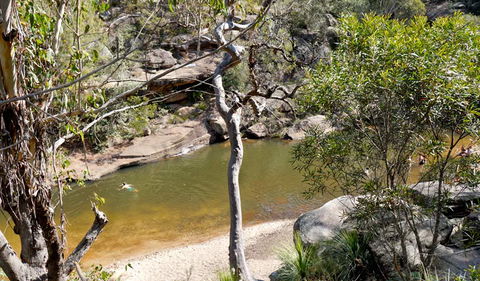Glenbrook Gorge Track - Restaurant Gold Coast 1
