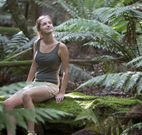 Barrington Tops National Park - Honeysuckle Forest Track - Restaurant Gold Coast