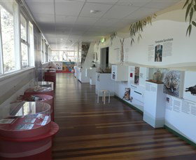 Kanyana Wildlife Rehabilitation Centre - Restaurant Gold Coast 1