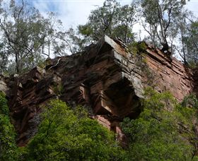 Mitchell River Walking Track - Restaurant Gold Coast 2