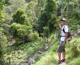 Mitchell River Walking Track - Restaurant Gold Coast 1