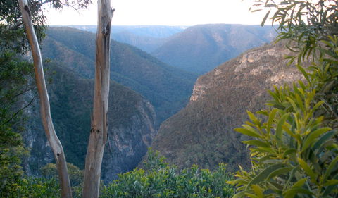 Bungonia National Park - Restaurant Gold Coast 1