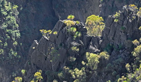 Bungonia National Park - Restaurant Gold Coast 2