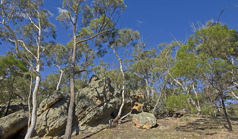 Bungonia National Park - Restaurant Gold Coast 3