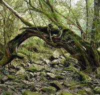 Mitchell River National Park - Restaurant Gold Coast