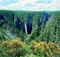 Wollomombi Falls - Restaurant Gold Coast