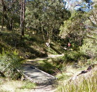 Wollomombi walking track - Restaurant Gold Coast