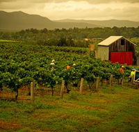 Around Hermitage Wine and Food Trail Hunter Valley - Restaurant Gold Coast