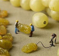 Hunter Valley Wine School - Restaurant Gold Coast