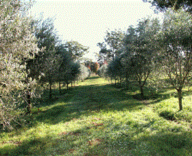 Langdale Farm - Restaurant Gold Coast 0