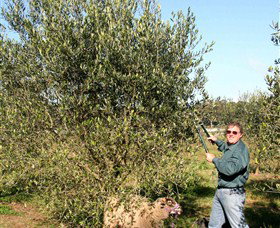 Langdale Farm - Restaurant Gold Coast 3