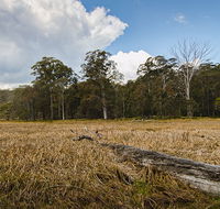 Mummel Gulf National Park - Restaurant Gold Coast