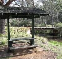Barrington Tops State Forest - Restaurant Gold Coast