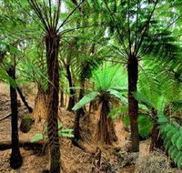Pegarah Private Nature Reserve  Parenna Place - Restaurant Gold Coast