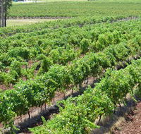 Pokolbin Brothers Wines Hunter Valley - Restaurant Gold Coast