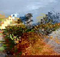 Bimbadgen Winery - Restaurant Gold Coast