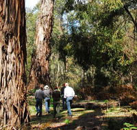 Tallaganda National Park - Restaurant Gold Coast